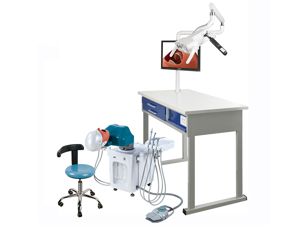 Medical Model Simulators simulator-a3 – Maplemodel medical model factory in china